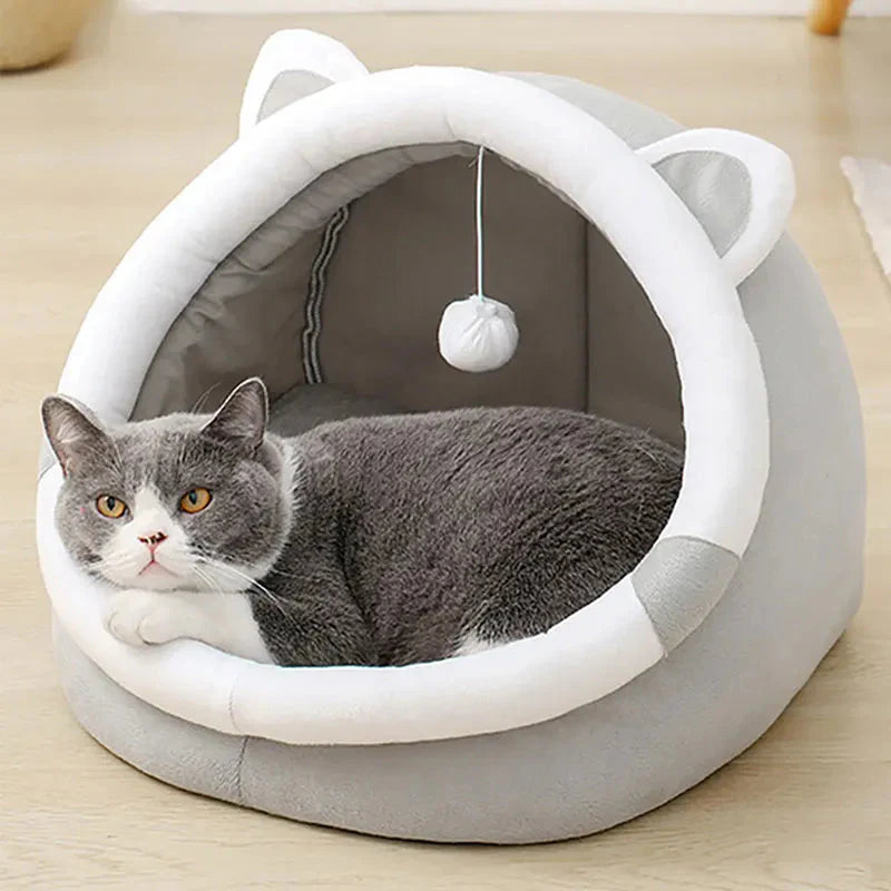Pet Furniture