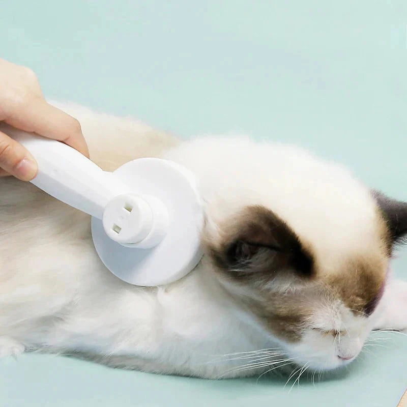 Grooming & Pet Hair Removal