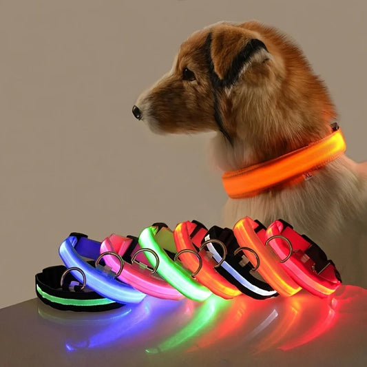 NightGlow LED Safety Dog Leash