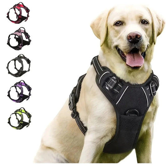 Rugged Dog Gear Complete Set