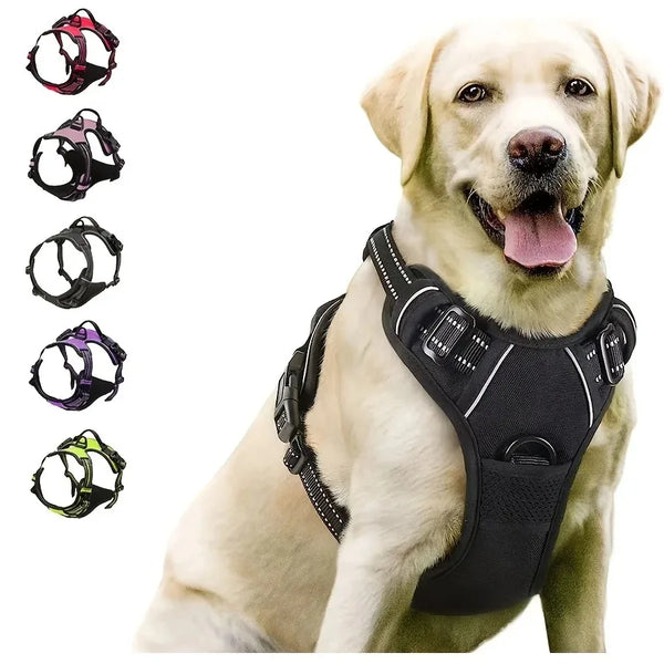 Rugged Dog Gear Complete Set