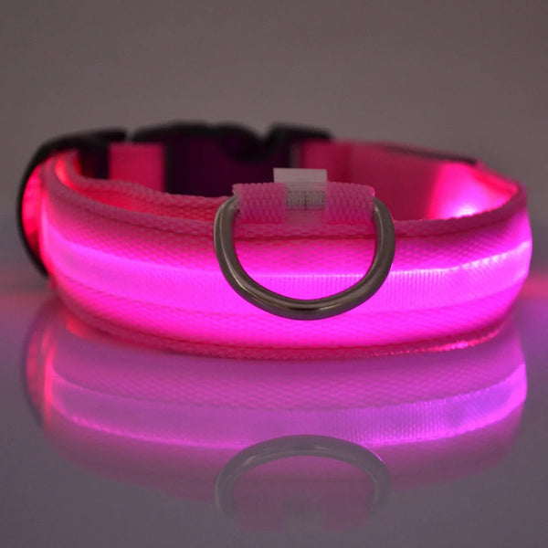 NightGlow LED Safety Dog Leash